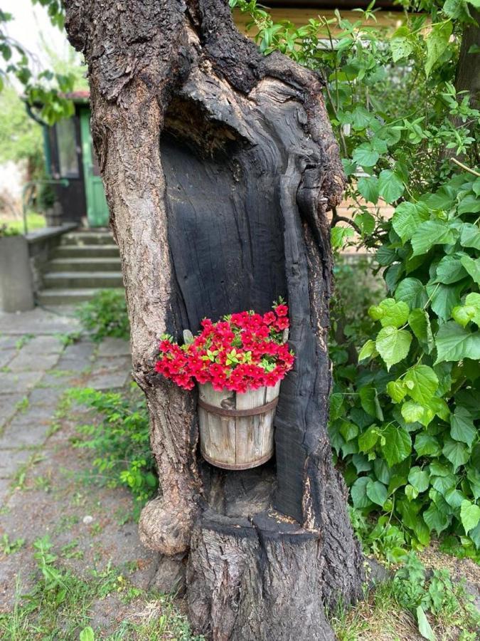 Old Summer House With Renovated Bathroom Praga Exterior foto